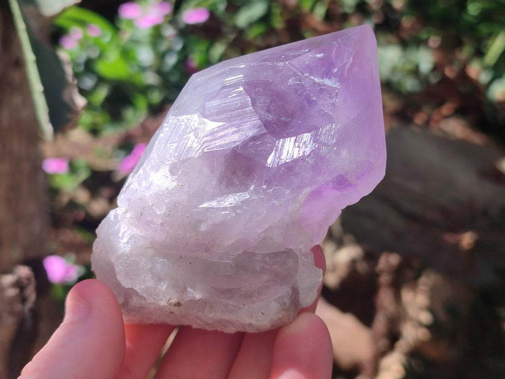 Natural Jacaranda Amethyst Single Crystals x 12 From Mumbwa, Zambia - Toprock Gemstones and Minerals 
