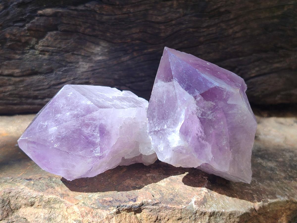 Natural Jacaranda Amethyst Single Crystals x 12 From Mumbwa, Zambia - Toprock Gemstones and Minerals 