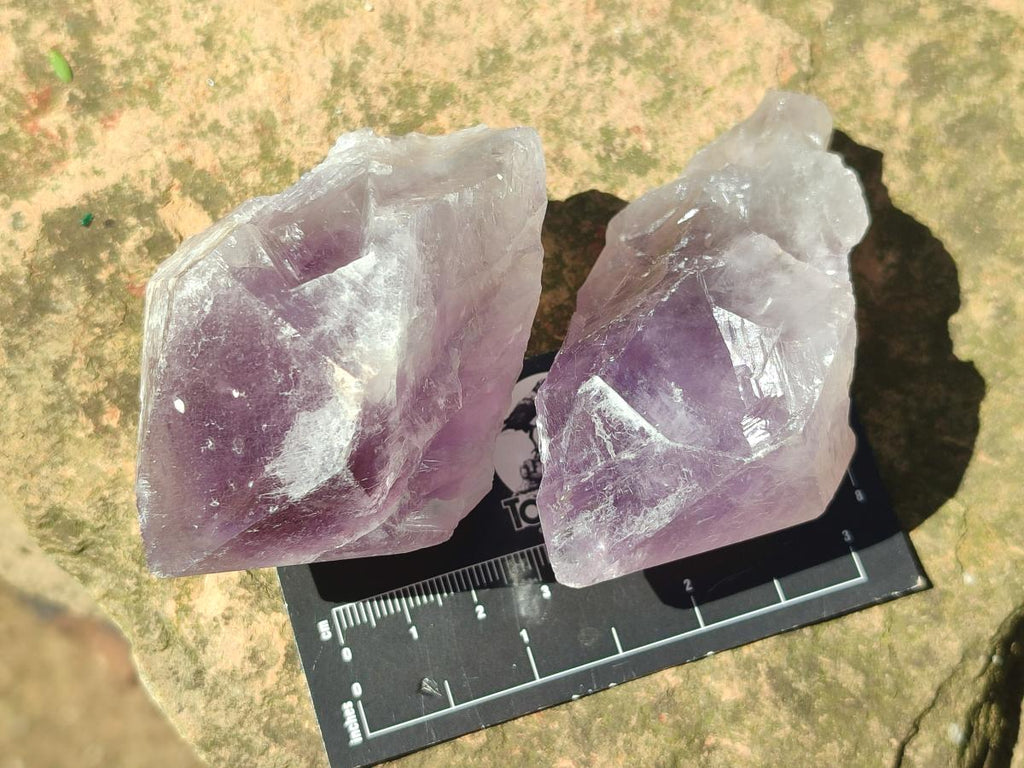 Natural Jacaranda Amethyst Single Crystals x 12 From Mumbwa, Zambia - Toprock Gemstones and Minerals 
