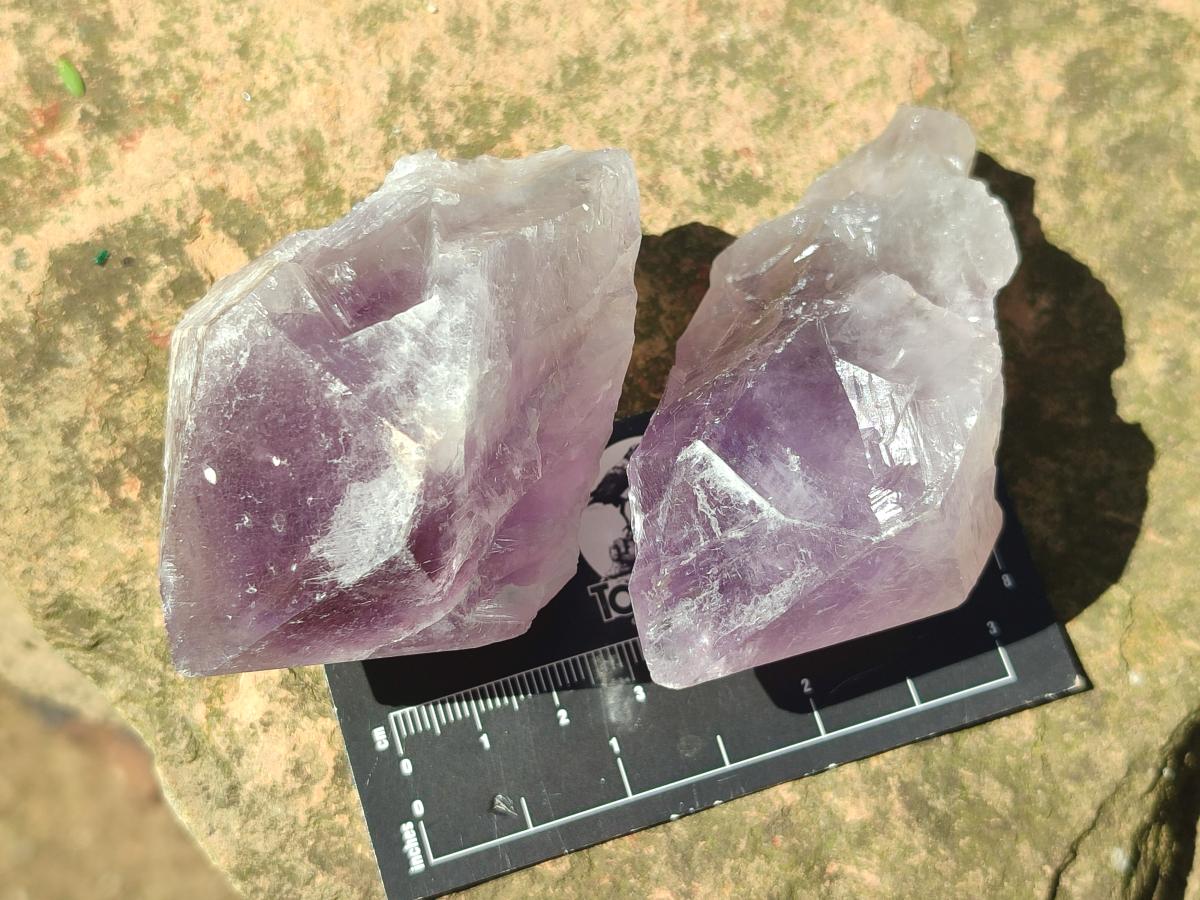 Natural Jacaranda Amethyst Single Crystals x 12 From Mumbwa, Zambia - Toprock Gemstones and Minerals 