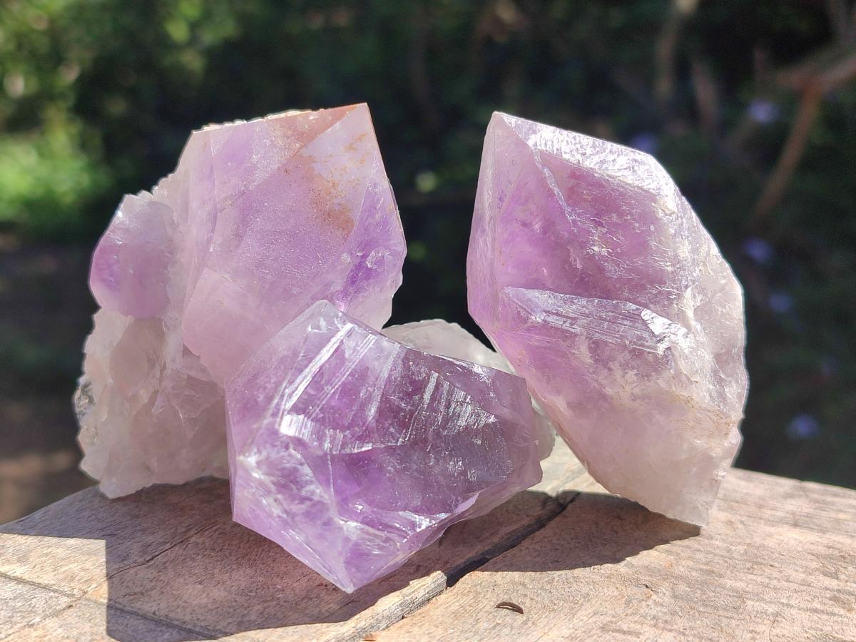 Natural Jacaranda Amethyst Single Crystals x 12 From Mumbwa, Zambia - Toprock Gemstones and Minerals 