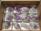 Natural Jacaranda Amethyst Single Crystals x 12 From Mumbwa, Zambia - Toprock Gemstones and Minerals 
