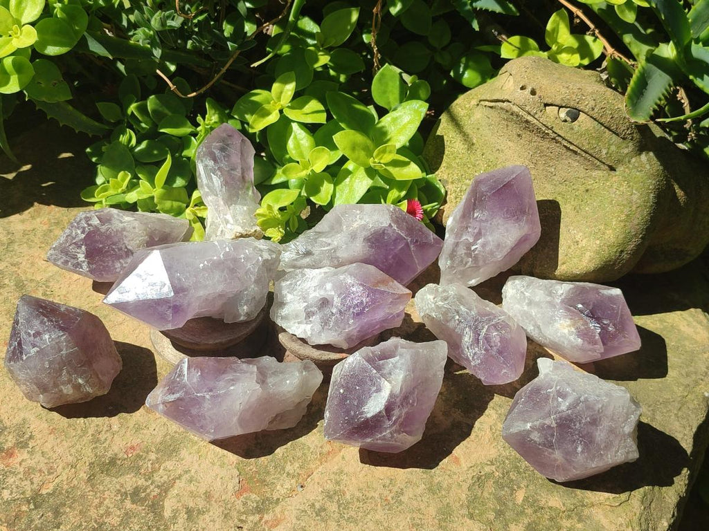 Natural Jacaranda Amethyst Single Crystals x 12 From Mumbwa, Zambia - Toprock Gemstones and Minerals 