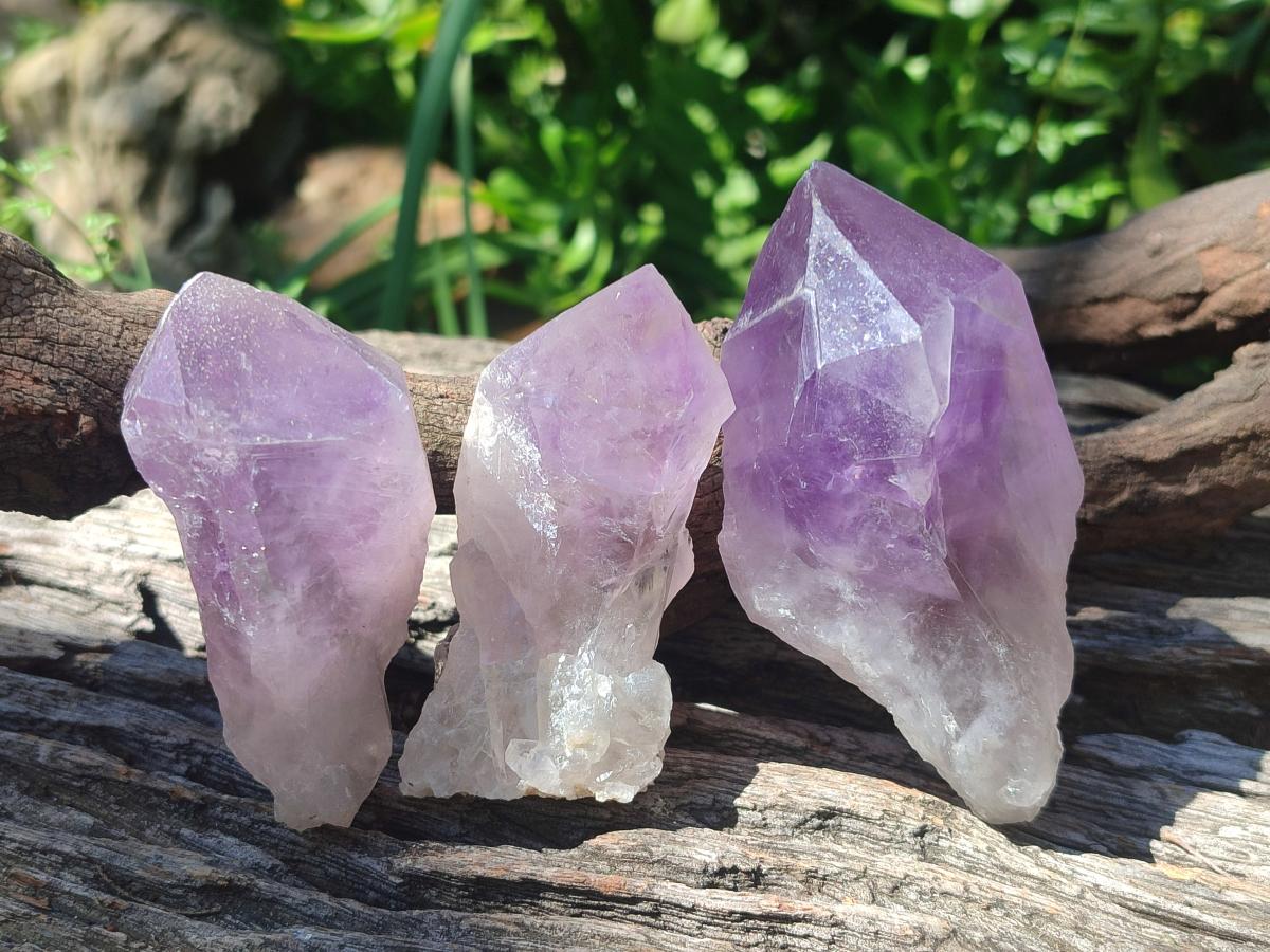 Natural Jacaranda Amethyst Single Crystals x 12 From Mumbwa, Zambia - Toprock Gemstones and Minerals 