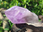 Natural Jacaranda Amethyst Single Crystals x 12 From Mumbwa, Zambia - Toprock Gemstones and Minerals 