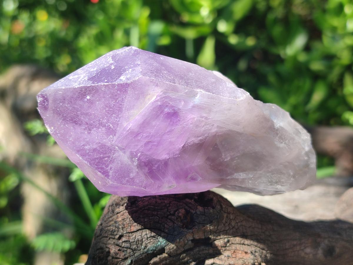 Natural Jacaranda Amethyst Single Crystals x 12 From Mumbwa, Zambia - Toprock Gemstones and Minerals 