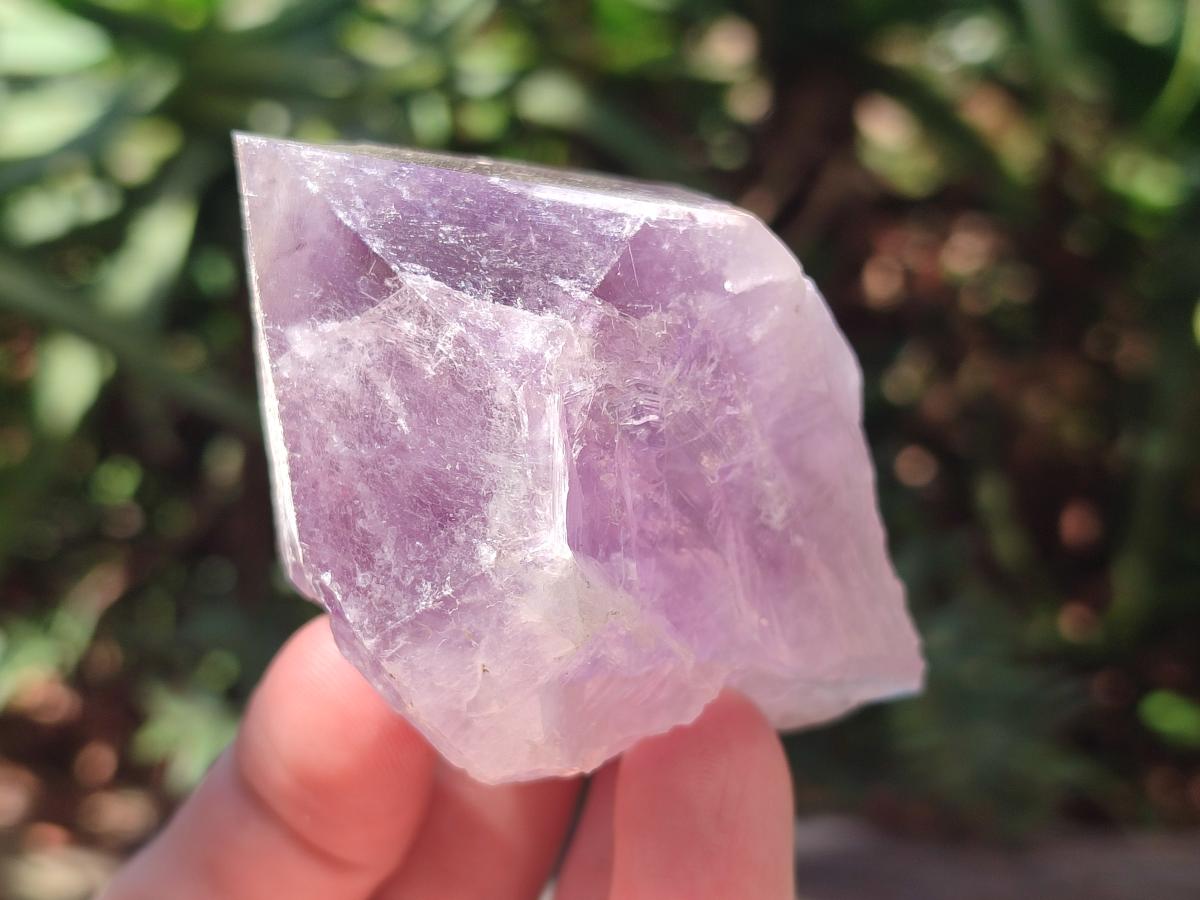 Natural Jacaranda Amethyst Single Crystals x 12 From Mumbwa, Zambia - Toprock Gemstones and Minerals 