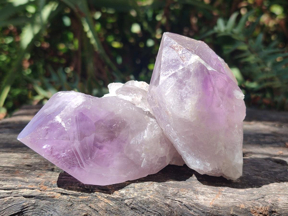 Natural Jacaranda Amethyst Single Crystals x 12 From Mumbwa, Zambia - Toprock Gemstones and Minerals 