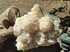 Natural Large "Love Star" Cascading "Anananas" Candle Quartz Cluster x 1 From Antsirabe, Madagascar - Toprock Gemstones and Minerals 