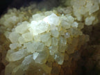 Natural Large "Love Star" Cascading "Anananas" Candle Quartz Cluster x 1 From Antsirabe, Madagascar - Toprock Gemstones and Minerals 