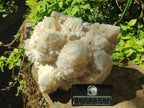 Natural Large "Love Star" Cascading "Anananas" Candle Quartz Cluster x 1 From Antsirabe, Madagascar - Toprock Gemstones and Minerals 