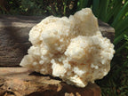 Natural Large "Love Star" Cascading "Anananas" Candle Quartz Cluster x 1 From Antsirabe, Madagascar - Toprock Gemstones and Minerals 