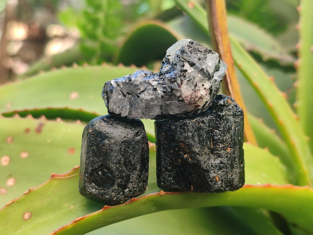 Natural Rough Black Tourmaline Crystals x 72 From Zambia - Toprock Gemstones and Minerals 