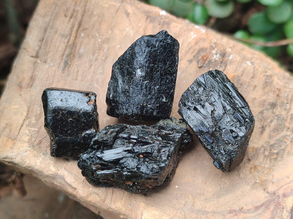 Natural Rough Black Tourmaline Crystals x 72 From Zambia - Toprock Gemstones and Minerals 