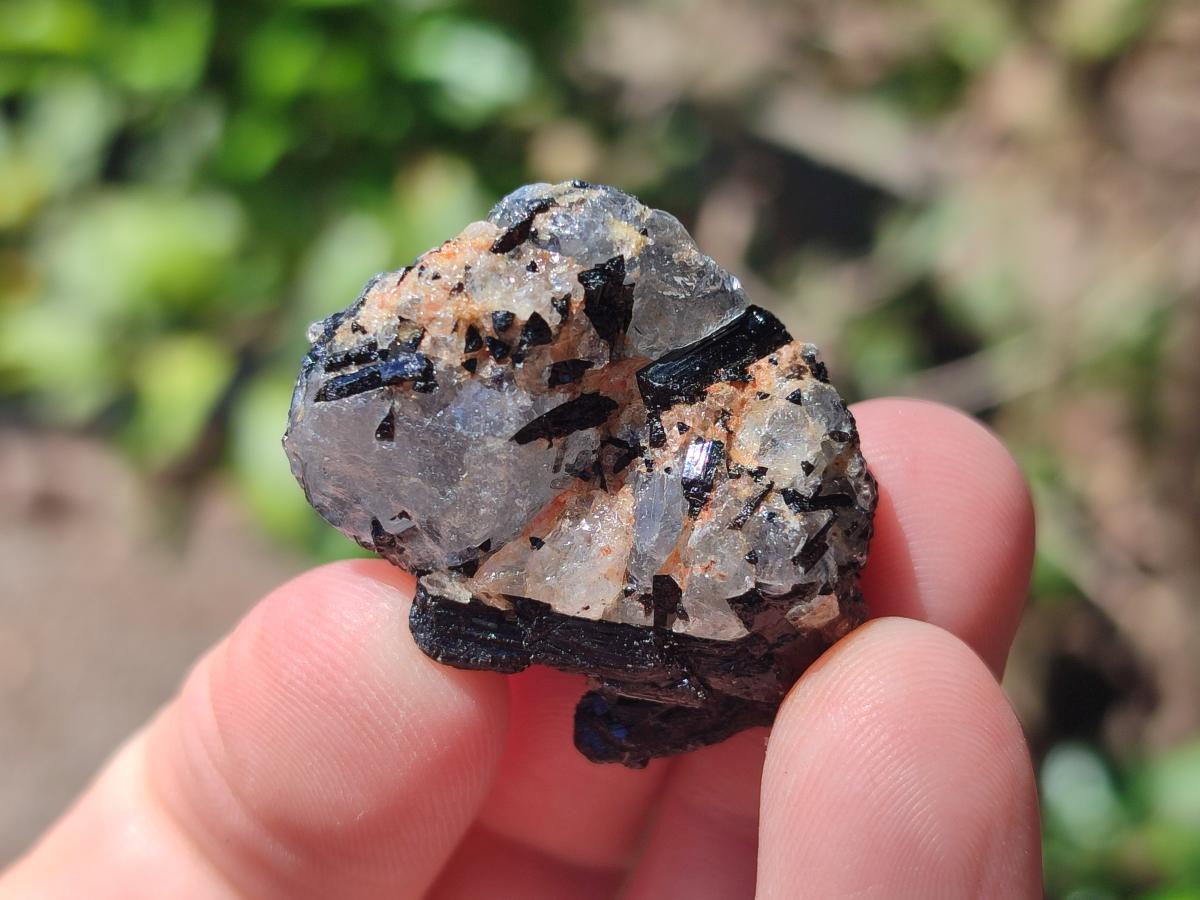 Natural Rough Black Tourmaline Crystals x 72 From Zambia - Toprock Gemstones and Minerals 