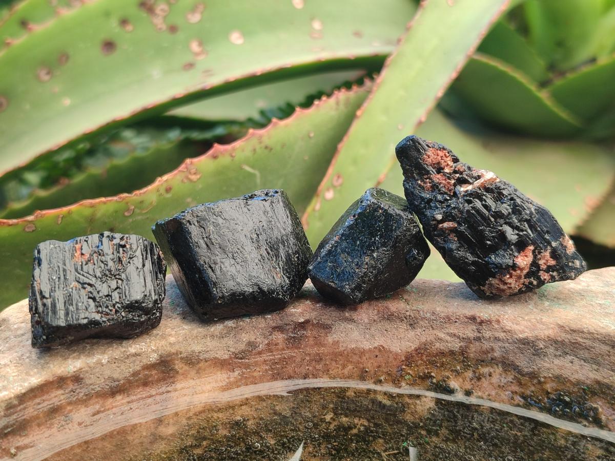 Natural Rough Black Tourmaline Crystals x 72 From Zambia - Toprock Gemstones and Minerals 