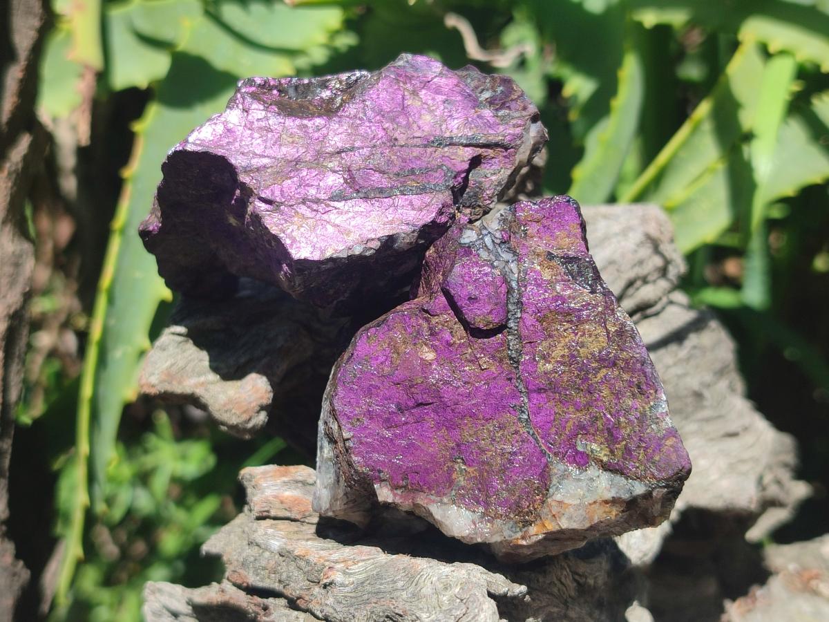 Natural Metallic Cobbed Purpurite Specimens x 12 From Erongo, Namibia - Toprock Gemstones and Minerals 