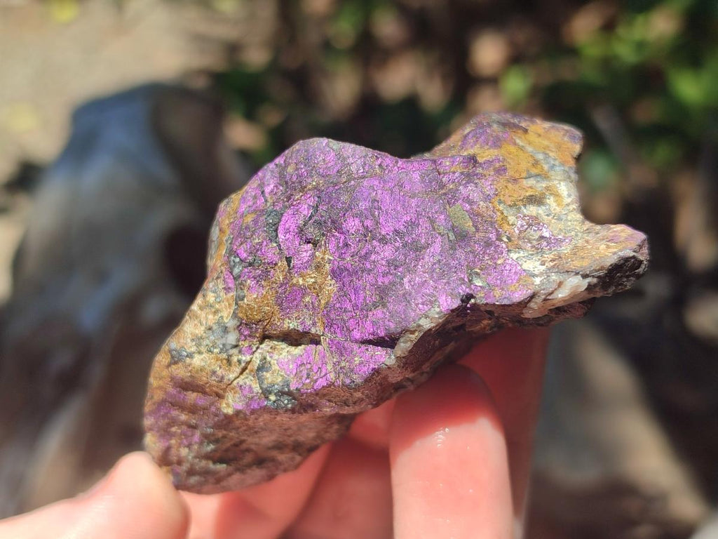 Natural Metallic Cobbed Purpurite Specimens x 12 From Erongo, Namibia - Toprock Gemstones and Minerals 