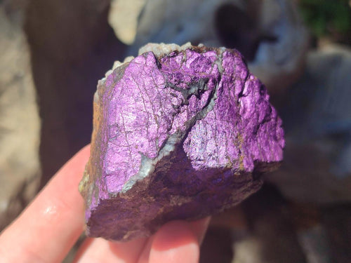 Natural Metallic Cobbed Purpurite Specimens x 12 From Erongo, Namibia - Toprock Gemstones and Minerals 