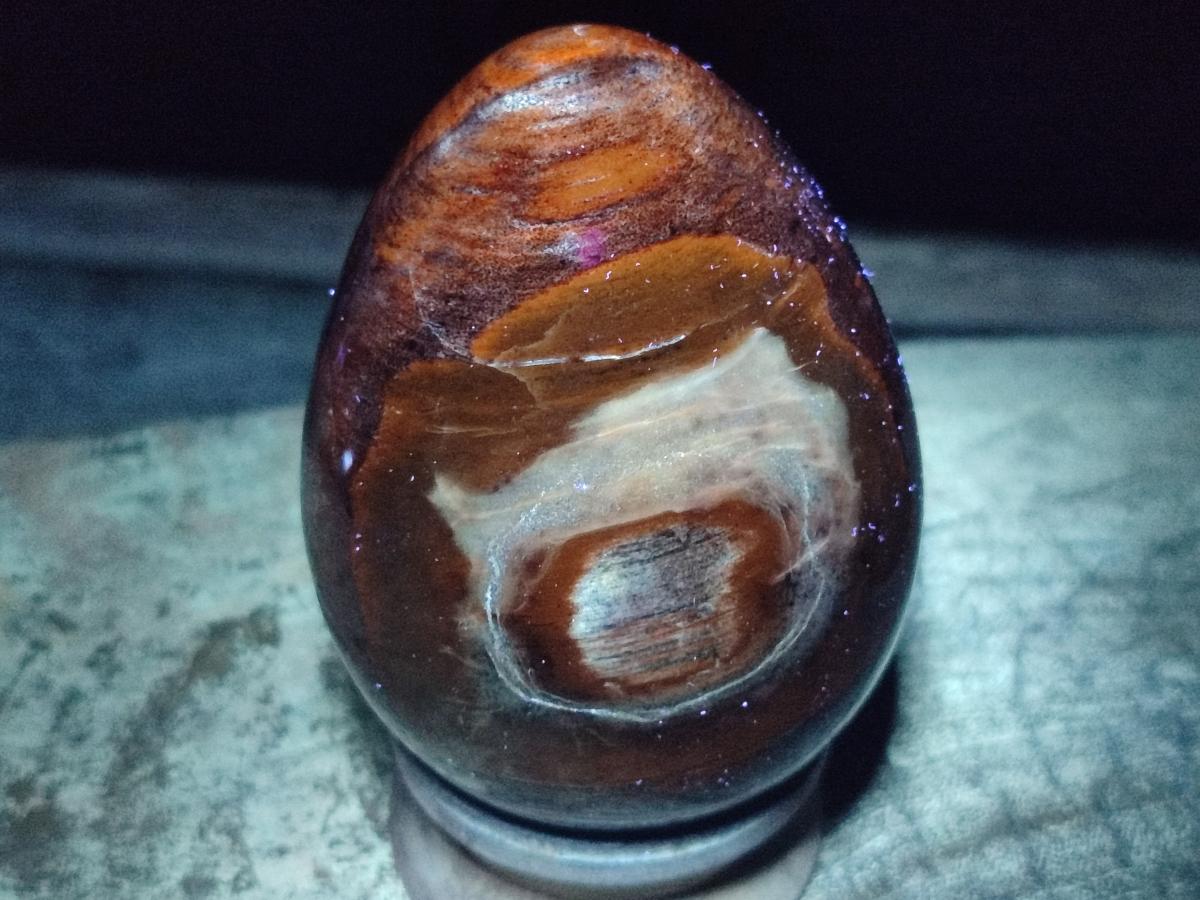 Polished Large Red Podocarpus Petrified Wood Eggs x 2 From Mahajanga, Madagascar - Toprock Gemstones and Minerals 