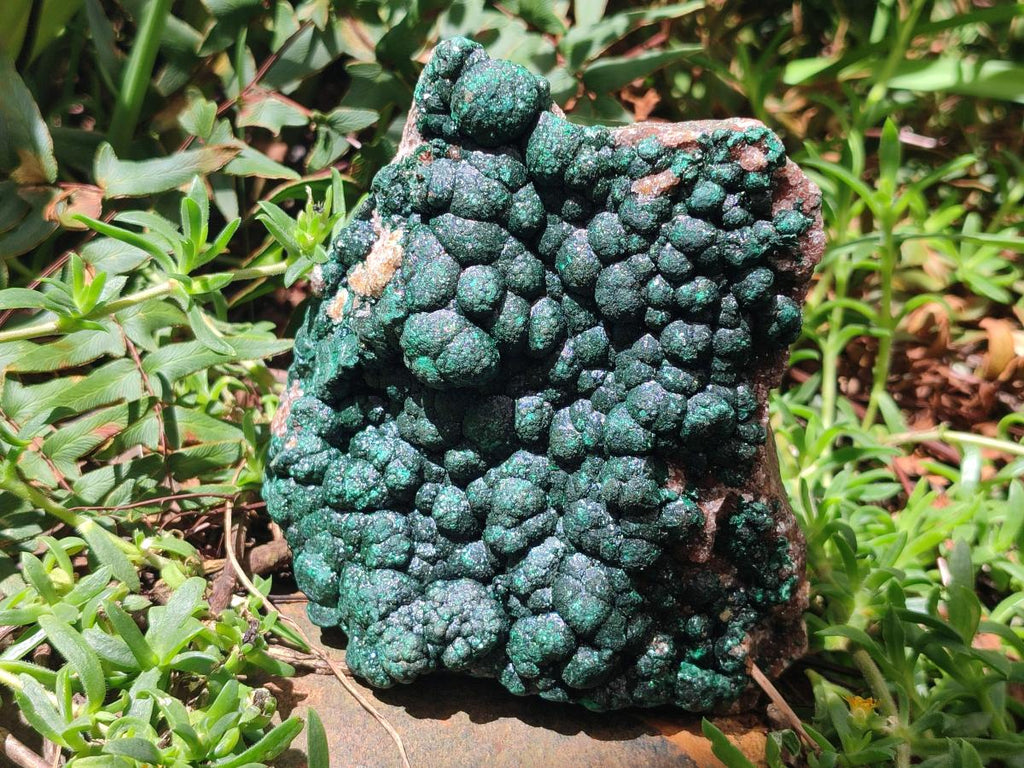 Natural Large Crystalline Ball Malachite with Quartz on Dolomite Matrix x 1 From Mindingi Mine, Kambove, Congo - Toprock Gemstones and Minerals 