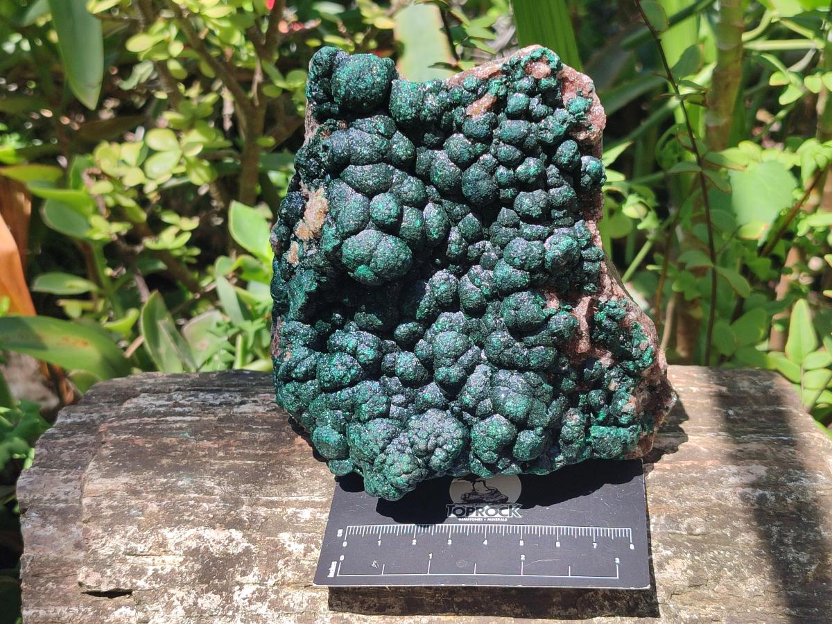 Natural Large Crystalline Ball Malachite with Quartz on Dolomite Matrix x 1 From Mindingi Mine, Kambove, Congo - Toprock Gemstones and Minerals 