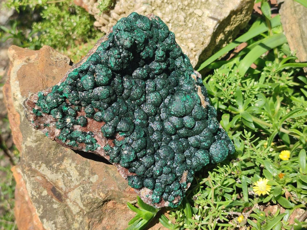 Natural Large Crystalline Ball Malachite with Quartz on Dolomite Matrix x 1 From Mindingi Mine, Kambove, Congo - Toprock Gemstones and Minerals 