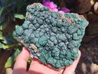 Natural Large Crystalline Ball Malachite with Quartz on Dolomite Matrix x 1 From Mindingi Mine, Kambove, Congo - Toprock Gemstones and Minerals 