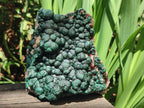Natural Large Crystalline Ball Malachite with Quartz on Dolomite Matrix x 1 From Mindingi Mine, Kambove, Congo - Toprock Gemstones and Minerals 
