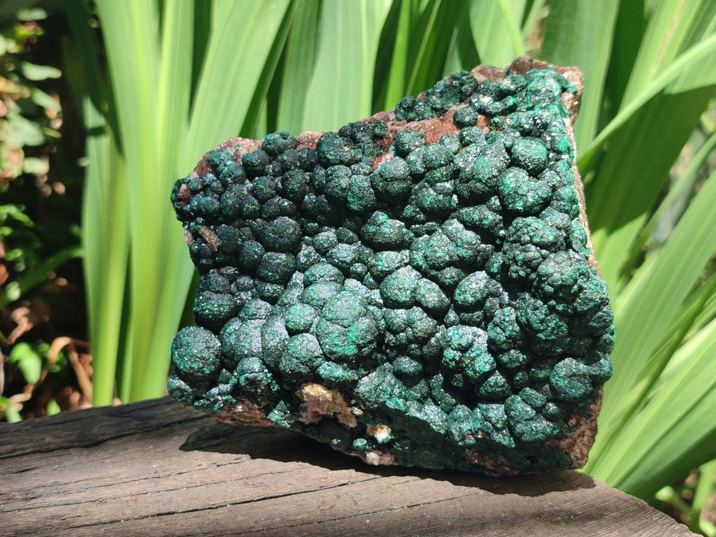 Natural Large Crystalline Ball Malachite with Quartz on Dolomite Matrix x 1 From Mindingi Mine, Kambove, Congo - Toprock Gemstones and Minerals 
