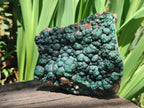 Natural Large Crystalline Ball Malachite with Quartz on Dolomite Matrix x 1 From Mindingi Mine, Kambove, Congo - Toprock Gemstones and Minerals 