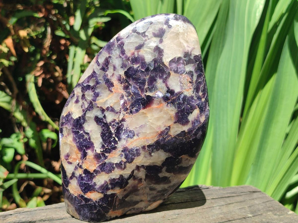 Polished Silver Leaf Lepidolite Standing Display Pieces x 2 From Zimbabwe - Toprock Gemstones and Minerals 