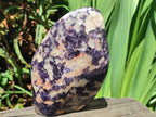Polished Silver Leaf Lepidolite Standing Display Pieces x 2 From Zimbabwe - Toprock Gemstones and Minerals 