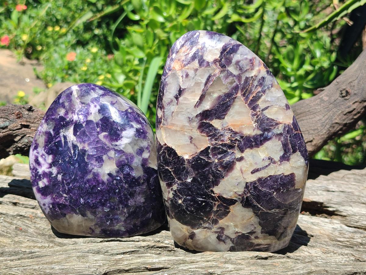 Polished Silver Leaf Lepidolite Standing Display Pieces x 2 From Zimbabwe - Toprock Gemstones and Minerals 