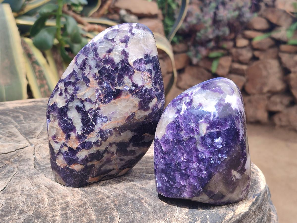 Polished Silver Leaf Lepidolite Standing Display Pieces x 2 From Zimbabwe - Toprock Gemstones and Minerals 