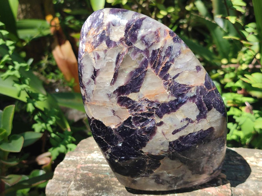 Polished Silver Leaf Lepidolite Standing Display Pieces x 2 From Zimbabwe - Toprock Gemstones and Minerals 
