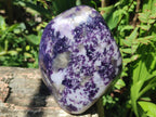 Polished Silver Leaf Lepidolite Standing Display Pieces x 2 From Zimbabwe - Toprock Gemstones and Minerals 