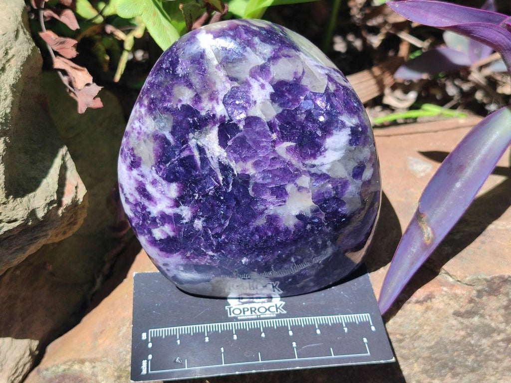 Polished Silver Leaf Lepidolite Standing Display Pieces x 2 From Zimbabwe - Toprock Gemstones and Minerals 