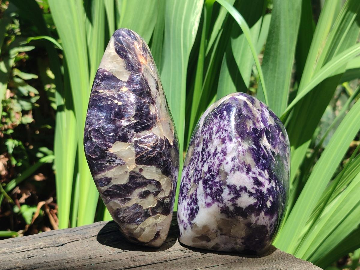 Polished Silver Leaf Lepidolite Standing Display Pieces x 2 From Zimbabwe - Toprock Gemstones and Minerals 