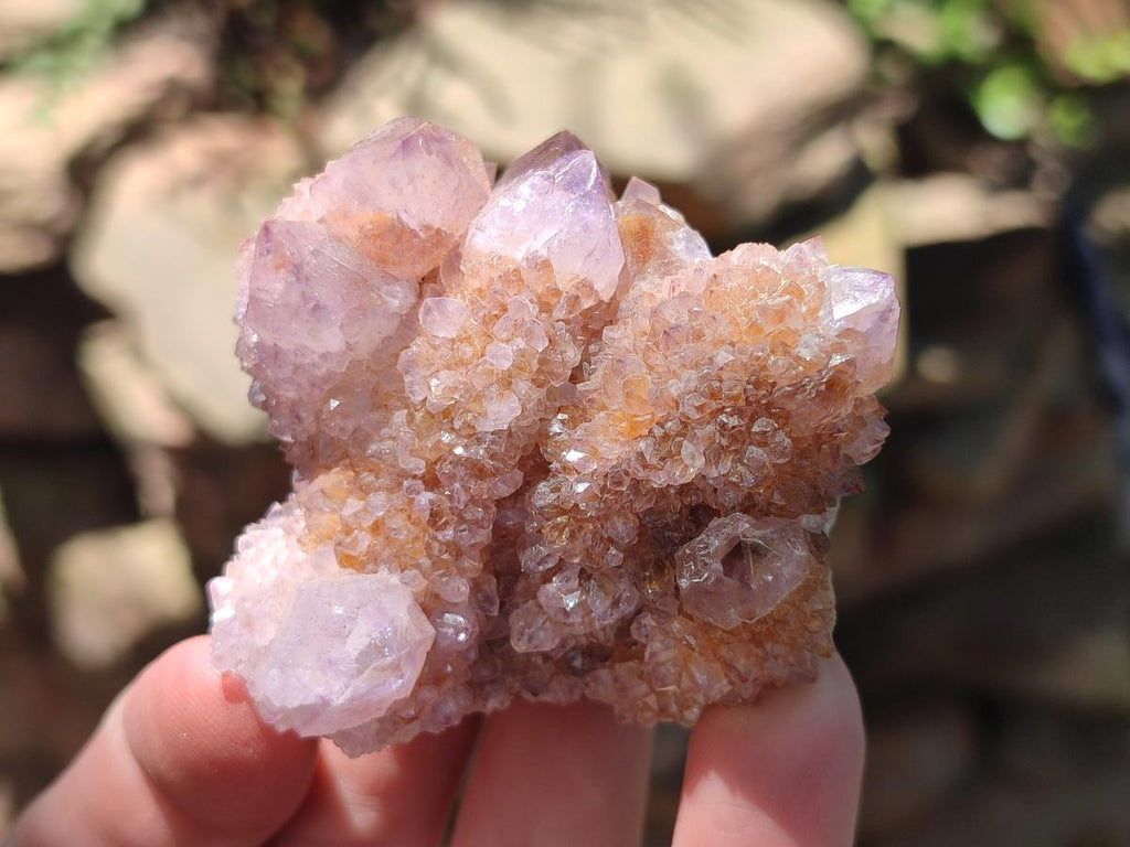 Natural Spirit Amethyst Crystals and Clusters x 12 From Boekenhouthoek, South Africa - Toprock Gemstones and Minerals 