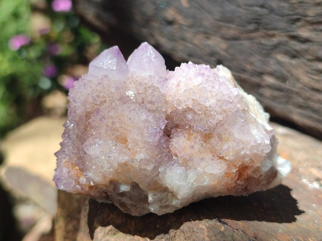 Natural Spirit Amethyst Crystals and Clusters x 12 From Boekenhouthoek, South Africa - Toprock Gemstones and Minerals 