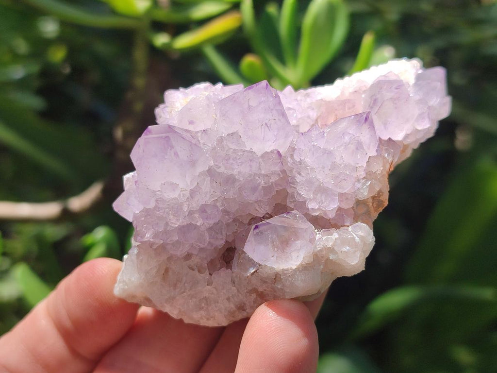 Natural Spirit Amethyst Crystals and Clusters x 12 From Boekenhouthoek, South Africa - Toprock Gemstones and Minerals 