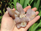 Natural Spirit Amethyst Crystals and Clusters x 12 From Boekenhouthoek, South Africa - Toprock Gemstones and Minerals 