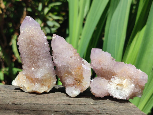 Natural Spirit Amethyst Crystals and Clusters x 12 From Boekenhouthoek, South Africa - Toprock Gemstones and Minerals 