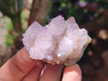 Natural Spirit Amethyst Crystals and Clusters x 12 From Boekenhouthoek, South Africa - Toprock Gemstones and Minerals 