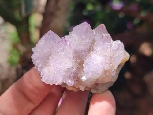 Natural Spirit Amethyst Crystals and Clusters x 12 From Boekenhouthoek, South Africa - Toprock Gemstones and Minerals 