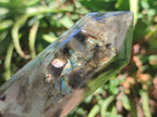 Polished Labradorite Display Crystals x 3 From Madagascar - Toprock Gemstones and Minerals 