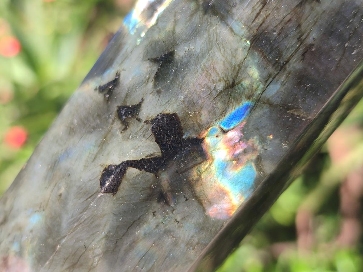 Polished Labradorite Display Crystals x 3 From Madagascar - Toprock Gemstones and Minerals 