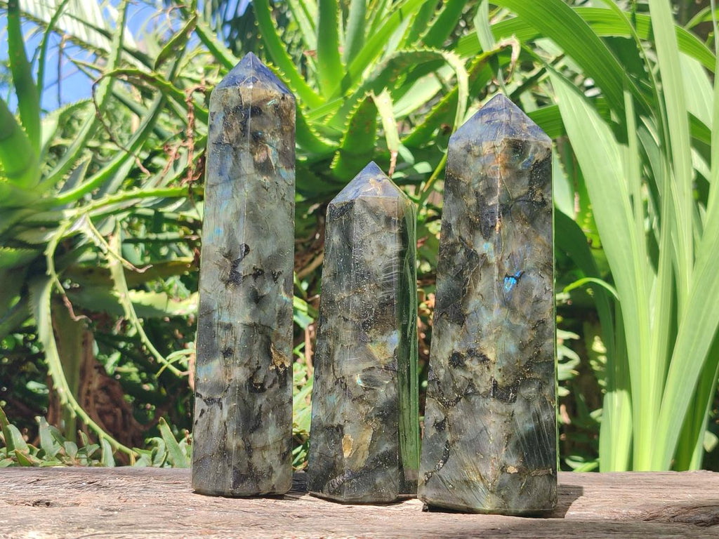 Polished Labradorite Display Crystals x 3 From Madagascar - Toprock Gemstones and Minerals 