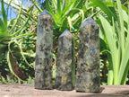 Polished Labradorite Display Crystals x 3 From Madagascar - Toprock Gemstones and Minerals 